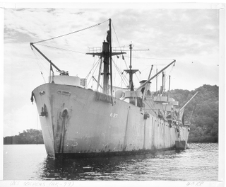 USS Serpens